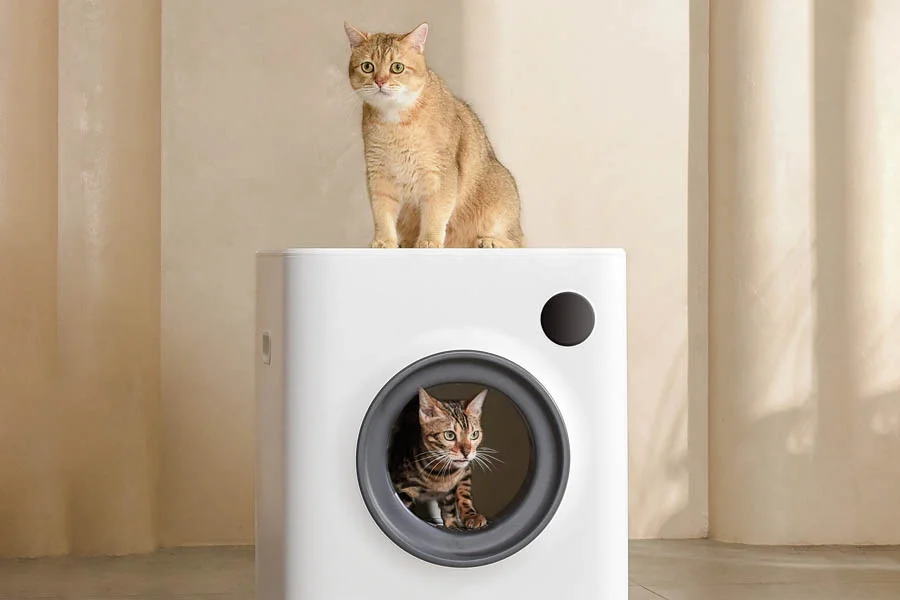 best litter for automatic litter box
