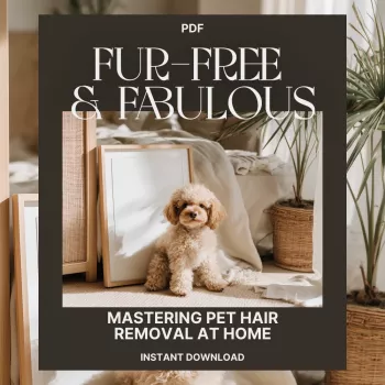 Remove Pet Hair from Furniture: Quick, Fabric-Safe Routine